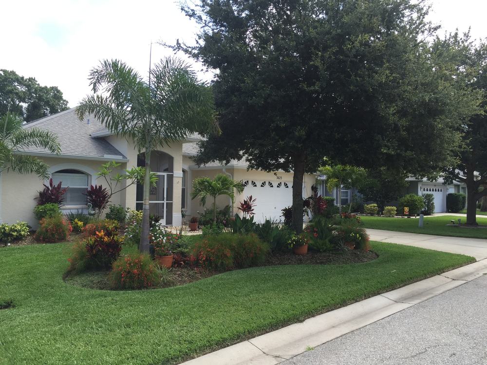 Curved flower bed of red and orange annuals set into a sharply edged front lawn