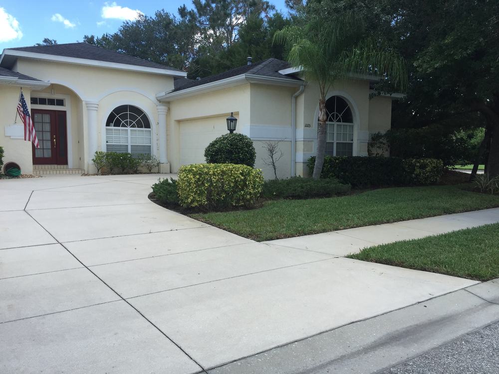 Clipped foundation hedges and a sharply edged lawn beside a wide driveway