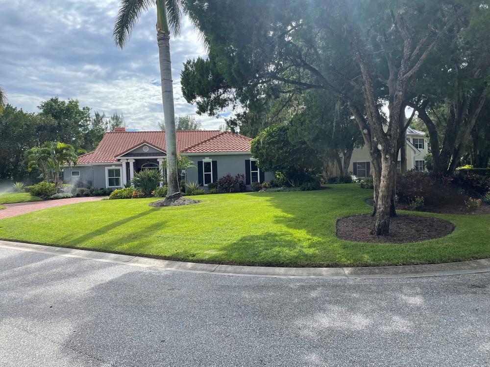 Deep green lawn with a mature live oak in a mulched island beside a tile-roofed Florida home