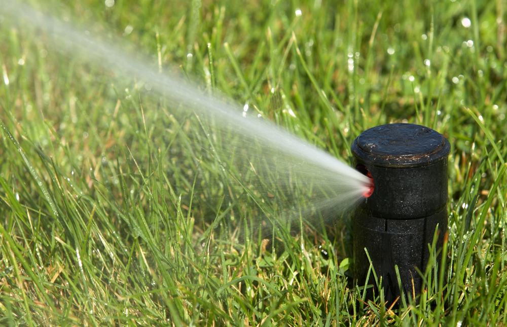 Pop-up sprinkler head spraying a fan of water across healthy green turf