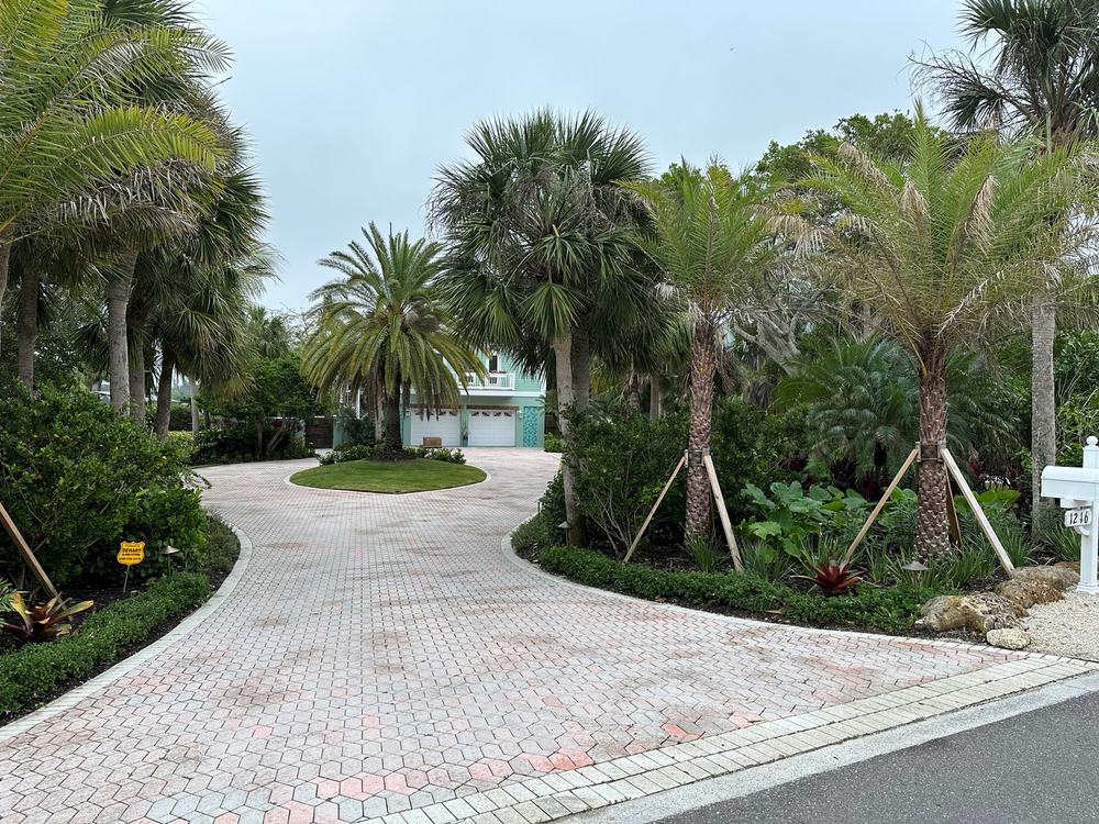 Paver driveway lined with tall trimmed palms and layered tropical planting